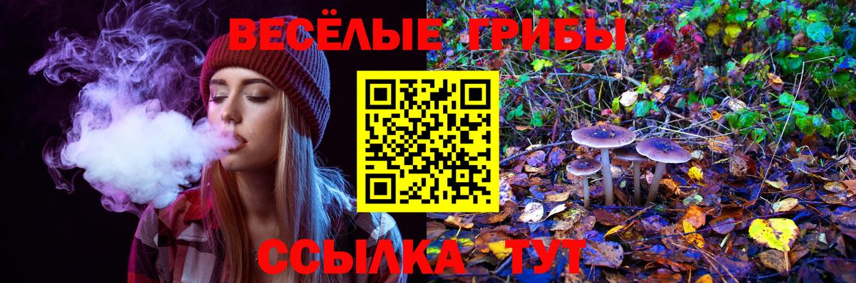 Псилоцибиновые грибы мицелий Ишим