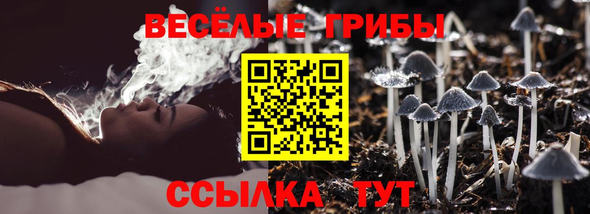 Ишим  купить  сайты  Псилоцибиновые грибы ЛСД  Вход с VPN  Галлюциногенные грибы Psilocybine cubensis 