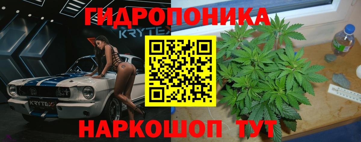 Бошки Шишки AK-47 Ишим